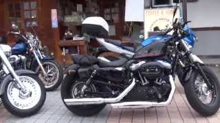 ハーレー女子 福岡県 スクリーミンイーグル ハーレーダビットソン スポーツスター フォーティーエイト XL1200X Harley Davidson Sportster [upl. by Nessy791]