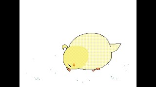 Little bird roll  Animation [upl. by Ynomrah279]