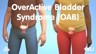 OverActive Bladder Syndrome [upl. by Arek]