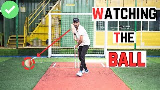 How to Take a Proper Batting Stance in Cricket  Cricket Tips For Beginners [upl. by Wenona]