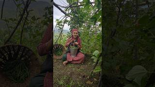 Aapki favourite vegetableshrutisharmapaharihimachaligirlhimachalbeans vegetableshrutipahari [upl. by Tracay]