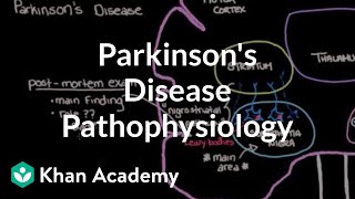 Putting it all together  Pathophysiology of Parkinsons disease  NCLEXRN  Khan Academy [upl. by Sherline]