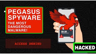 What Is PEGASUS SPYWARE ⚠️🔥  explained in HINDI [upl. by Relyhs]