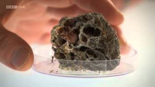 Planet Ant  Life Inside The Colony  BBC [upl. by Mchail108]