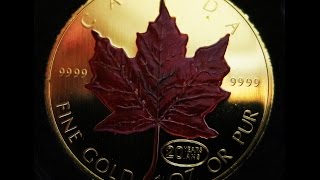 Canada 1999 Maple Leaf Gold Set Numismatic Bullion AMAZING ONLY 500 MINTED [upl. by Anirat]