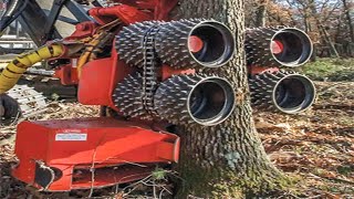 Dangerous Fastest Chainsaw Cutting Tree Machine Skills  Heavy Biggest Felling Tree Machine Working [upl. by Eninahs588]