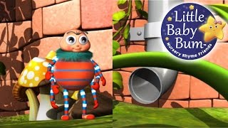 Incy Wincy Spider  LittleBabyBum  Nursery Rhymes for Babies ABCs and 123s  LBB [upl. by Thor904]