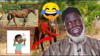 😂😂😂Lhistoire de Oustaz Alioune Sall et un chevalquotDama meuss diomi si deukk ba ndax ben fas😂 [upl. by Lowrance]