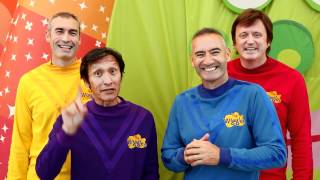 The Wiggles live at Cork Opera House [upl. by Aluk]