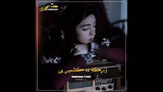 ZarkaDakashmiryee Pashto Song Slow Reverb [upl. by Linden]