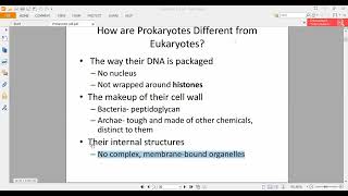 Prokaryotic Cell Structure amp Function [upl. by Krawczyk]