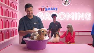 PetSmart Services All Under One Roof [upl. by Sirc]