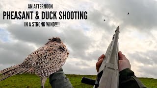 ROUGH SHOOT PHEASANT AND DUCK  WINSCOMBE SHOOT  AN AFTERNOON WITH FRIENDS [upl. by Tuesday]