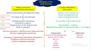 Movements of small intestine Chapter 64 part 7 Guyton and Hall Physiology [upl. by Lela]