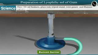 preparation of lyophilic Sol of starch Class 11 Chemistry Practical [upl. by Ambert312]