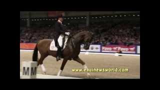 KWPN Stallion Vivaldi and Dutch rider Hans Peter Minderhoud [upl. by Iran]