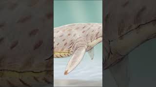 Un depredador gigante de los mares Pilosaurus universo ciencia documental historia tierra yt [upl. by Teilo]