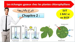 les échanges gazeux chlorophylliens svt 1bac sc ex option français شرح بالداريجة [upl. by Janeen]