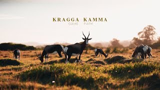 2 Hours in Kragga Kamma Game Park [upl. by Ewens]