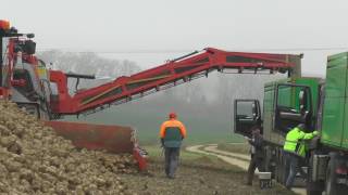 Das ganze einen Tag Später mit Nebel in der Früh XXL Extrem im Einsatz Maus Holmer Terra Felis 2 eco [upl. by Rebmit]