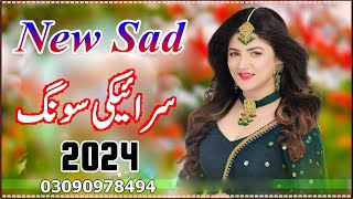 New Saraiki Song 2024  Saraiki All Singer Songs 2024 [upl. by Crowe216]