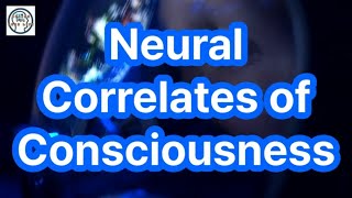 Understanding Organoid Consciousness Breakthroughs in Neuroscience and Ethics [upl. by Euqinahc215]