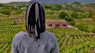 Au lendemain de lodyssée  Helen Doyle  Dès le 9 février à la Cinémathèqueqc [upl. by Ned275]