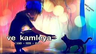 Ve Kamleya Slowed  Reverb  Delay  Arijit Singh Shreya Ghoshal [upl. by Engleman]