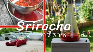 Sriracha hot sauce recipe Quick easy and delicious [upl. by Arhoz]