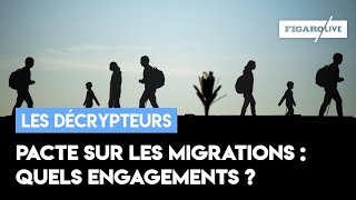 Pacte des migrants  à quoi la France s’estelle engagée [upl. by Buskus]