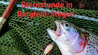 Forellenangeln mit Spoon am Angel und Forellenteich BargfeldStegen trout [upl. by Darach]