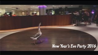 Hard Rock Hotel Penang New Years Eve Party 2016  wwwaforadiocom [upl. by Kalagher437]