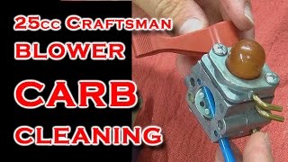 Carb Cleaning 25cc Blower [upl. by Kciredorb421]