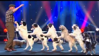 Wolfgang Lauenburger  Dressage de Chiens  Le Plus Grand Cabaret Du Monde [upl. by Frazier939]