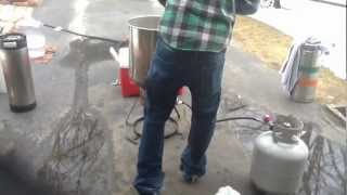 Brewing an Irish Blonde Ale from Northern Brewer [upl. by Archibaldo]