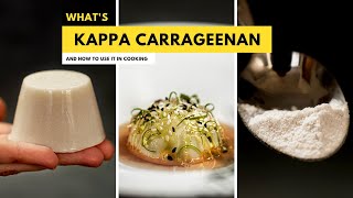 Kappa Carrageenan 101 Mastering the Culinary Power of this Seaweed Gel [upl. by Otrebliw96]