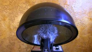 8hrs Commercial Bonnet Hair Dryer quotSleep Soundsquot [upl. by Groscr197]