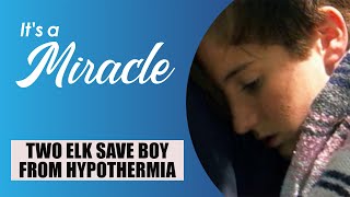 Two Elk Save Boy from Hypothermia  Its A Miracle [upl. by Acitel212]