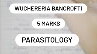 WUCHERERIA BANCROFTI  LC  PATHOGENESIS  LAB DIAGNOSIS  5 marks [upl. by Nidroj]