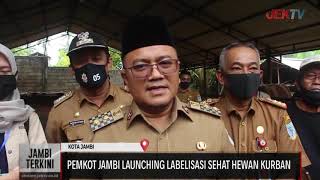 PEMKOT JAMBI LAUNCHING LABELISASI SEHAT HEWAN KURBAN [upl. by Rabin]