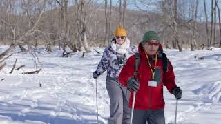 Untouched HOKKAIDO  Japan Hokkaido KushiroShitsugen National Park Winter Wildlife Tour【4K】 [upl. by Richardson890]