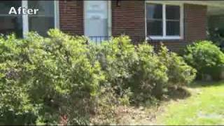 How to Prune Azaleas [upl. by Ettezzil461]