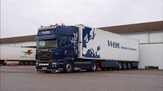 Wehl Thermo Transport [upl. by Pineda]