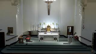 Holy Mass 9am Live  Sunday 1st September 2024 [upl. by Nel58]