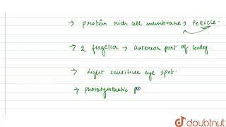 What are the characteristic features of Euglenoids [upl. by Arber]