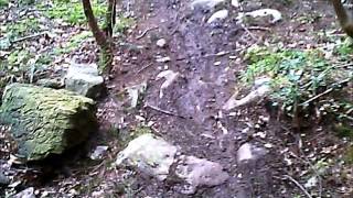 Rostrevor MTB Trails  DH3 [upl. by Arimaj]