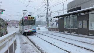 函館 市電 雪の中市内を力強く駆け巡ってくれていました！乗れて良かったです。 [upl. by Naillimixam]