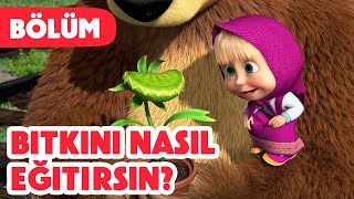 Maşa İle Koca Ayı 🪴 Bitkini nasıl eğitirsin 😋 Bölüm 99 Yeni bölüm 2024💥🎬 [upl. by Haerdna]