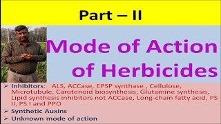 Part II Mode of Action of Herbicides [upl. by Tad]