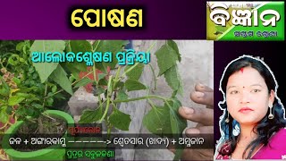 7 class science chapter 5 Photosynthesis in odia alokaslesana ଆଲୋକଶ୍ଳେଷଣ [upl. by Gnos]